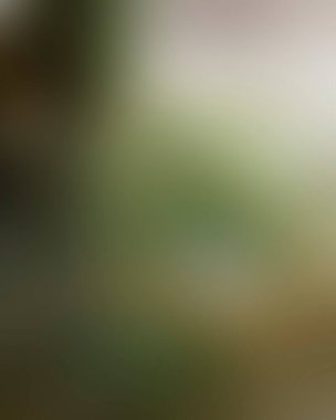 Renklerin soyut bulanık arkaplanı