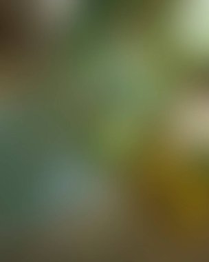 Renklerin soyut bulanık arkaplanı