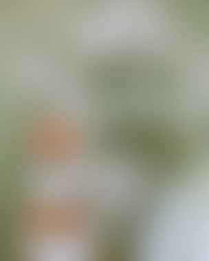 Renklerin soyut bulanık arkaplanı