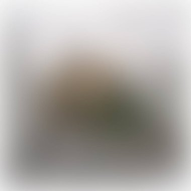 Renklerin soyut bulanık arkaplanı