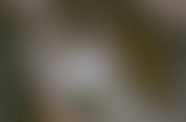 Renklerin soyut bulanık arkaplanı