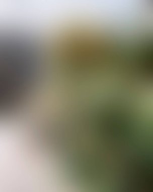 Renklerin soyut bulanık arkaplanı