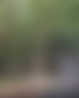 Renklerin soyut bulanık arkaplanı