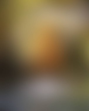 Renklerin soyut bulanık arkaplanı