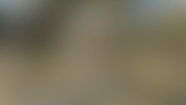 Renklerin soyut bulanık arkaplanı