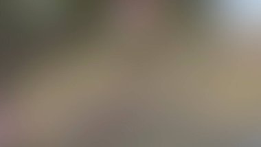 Renklerin soyut bulanık arkaplanı