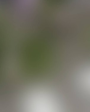 Renklerin soyut bulanık arkaplanı