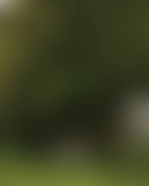 Renklerin soyut bulanık arkaplanı