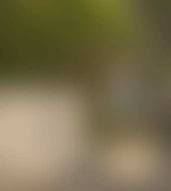 Renklerin soyut bulanık arkaplanı