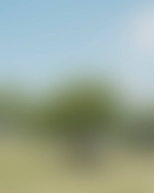 Renklerin soyut bulanık arkaplanı