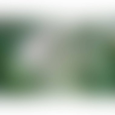 Renklerin soyut bulanık arkaplanı