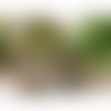 Renklerin soyut bulanık arkaplanı