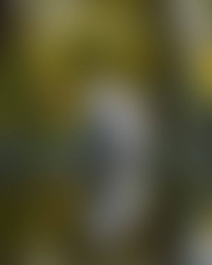 Renklerin soyut bulanık arkaplanı