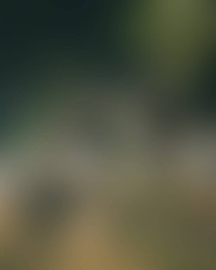 Renklerin soyut bulanık arkaplanı