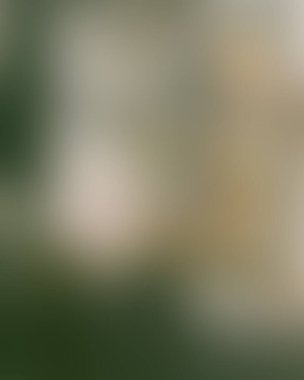 Renklerin soyut bulanık arkaplanı