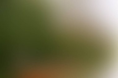 Renklerin soyut bulanık arkaplanı