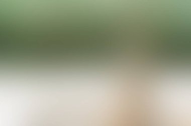 Renklerin soyut bulanık arkaplanı