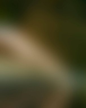 Renklerin soyut bulanık arkaplanı