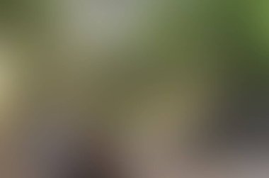 Renklerin soyut bulanık arkaplanı