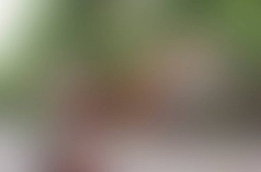 Renklerin soyut bulanık arkaplanı