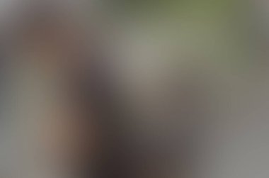 Renklerin soyut bulanık arkaplanı