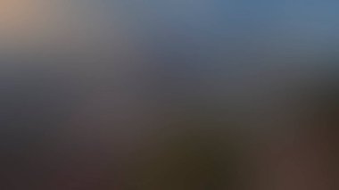 Renklerin soyut bulanık arkaplanı