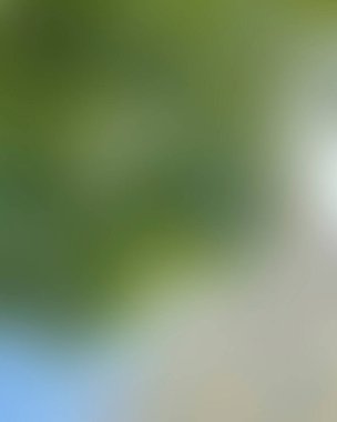 Renklerin soyut bulanık arkaplanı