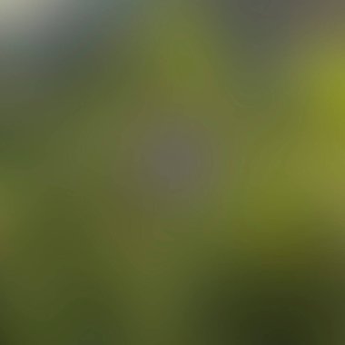 Renklerin soyut bulanık arkaplanı