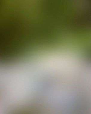 Renklerin soyut bulanık arkaplanı