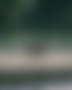 Renklerin soyut bulanık arkaplanı