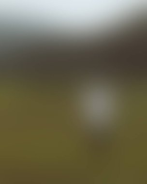 Renklerin soyut bulanık arkaplanı