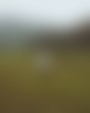 Renklerin soyut bulanık arkaplanı