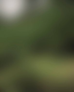 Renklerin soyut bulanık arkaplanı