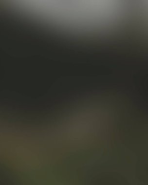 Renklerin soyut bulanık arkaplanı