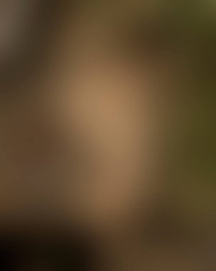 Renklerin soyut bulanık arkaplanı