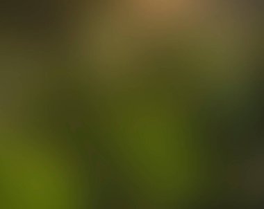 Renklerin soyut bulanık arkaplanı