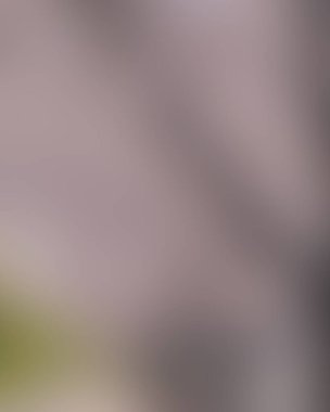 Renklerin soyut bulanık arkaplanı