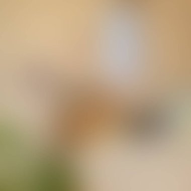 Renklerin soyut bulanık arkaplanı