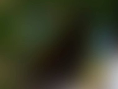 Renklerin soyut bulanık arkaplanı