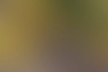 Renklerin soyut bulanık arkaplanı