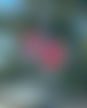 Renklerin soyut bulanık arkaplanı