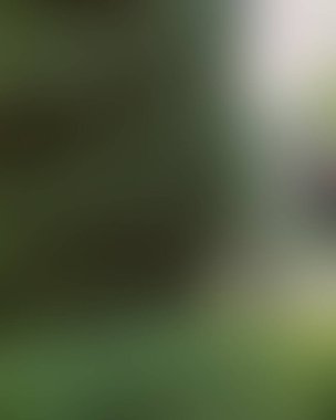 Renklerin soyut bulanık arkaplanı