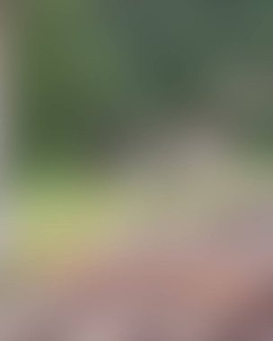 Renklerin soyut bulanık arkaplanı