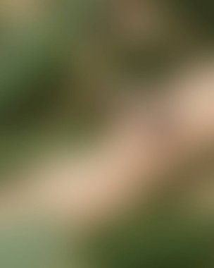 Renklerin soyut bulanık arkaplanı