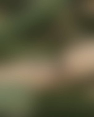 Renklerin soyut bulanık arkaplanı