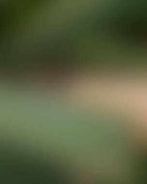 Renklerin soyut bulanık arkaplanı