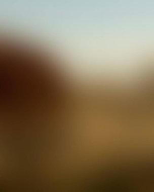 Renklerin soyut bulanık arkaplanı