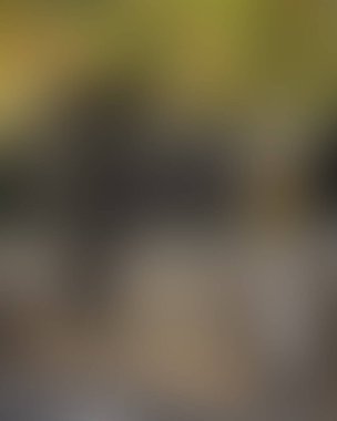 Renklerin soyut bulanık arkaplanı