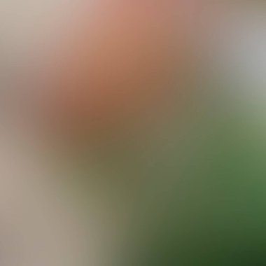 Renklerin soyut bulanık arkaplanı