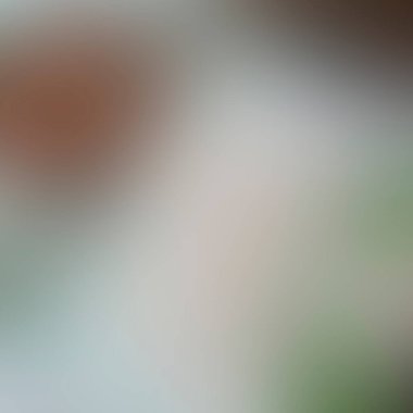 Renklerin soyut bulanık arkaplanı